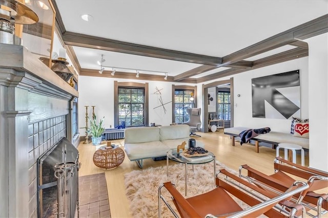 living room with rail lighting, wood-type flooring, ornamental molding, and a fireplace