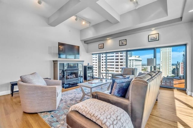 living room featuring light hardwood / wood-style flooring and rail lighting