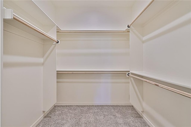 walk in closet with light carpet