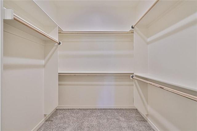 845 Willow Tree Ct, Higginsville, MO 64037 - walk in closet featuring carpet