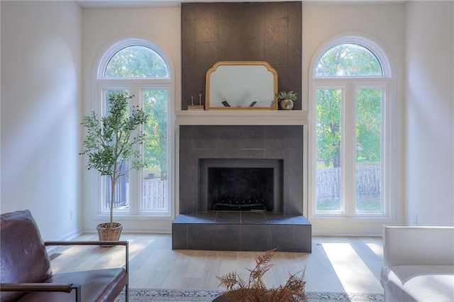 living room with a fireplace, a wealth of natural light, and wood-type flooring