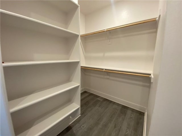 spacious closet with dark hardwood / wood-style floors