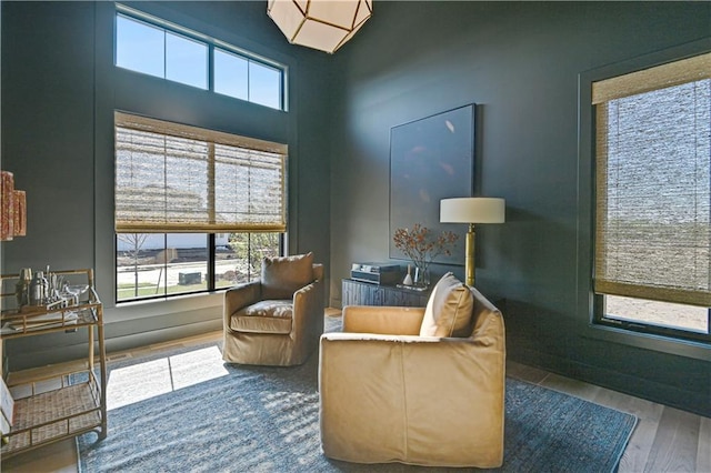 living area with hardwood / wood-style floors