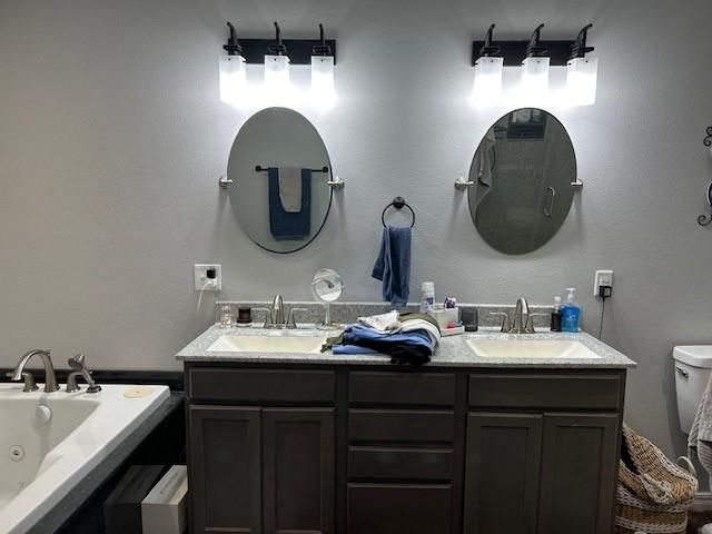 bathroom with toilet, vanity, and a washtub