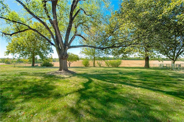 view of yard featuring a rural view