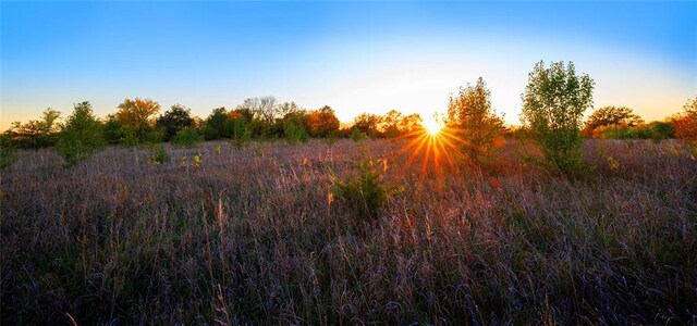 view of nature at dusk