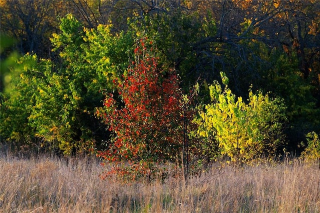 view of landscape