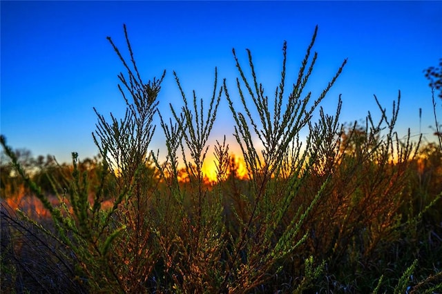 view of nature at dusk