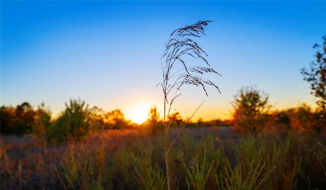 view of nature at dusk