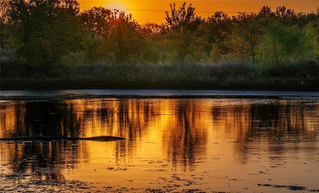 property view of water