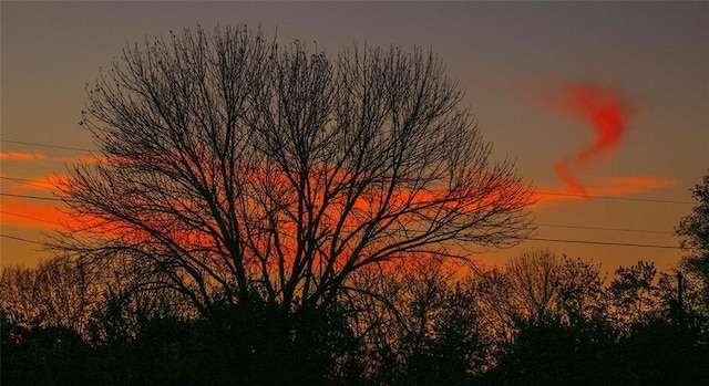 view of nature at dusk