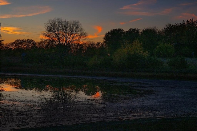 yard at dusk with a water view