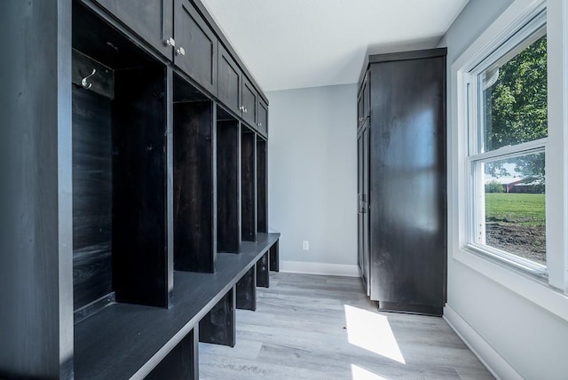 mudroom featuring a healthy amount of sunlight and light hardwood / wood-style flooring