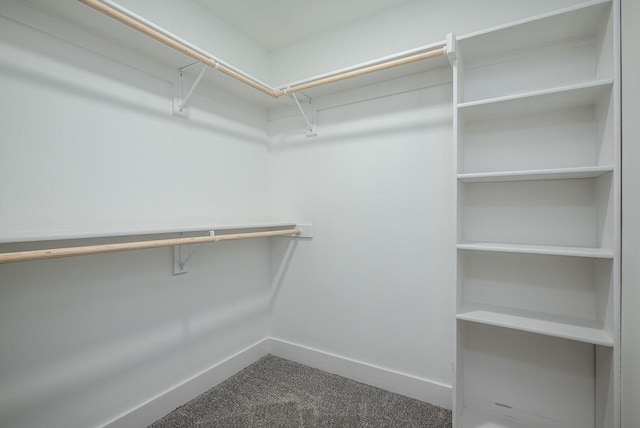 walk in closet featuring carpet