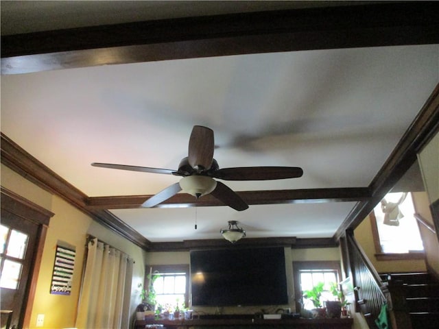 interior details featuring ceiling fan, ornamental molding, and beamed ceiling