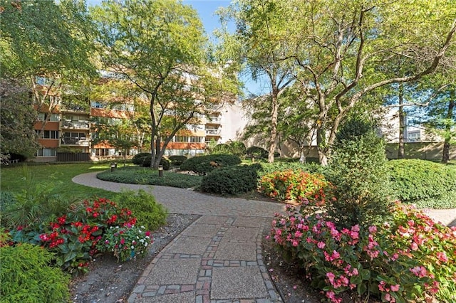 view of home's community featuring a yard