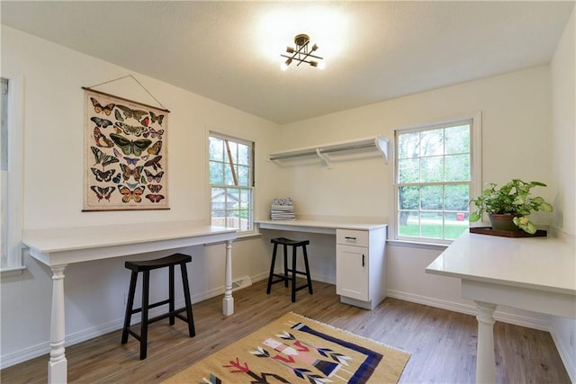 office space with light hardwood / wood-style flooring and a wealth of natural light