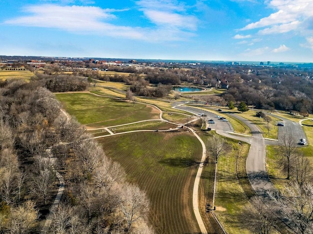 bird's eye view