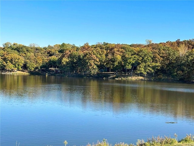 property view of water