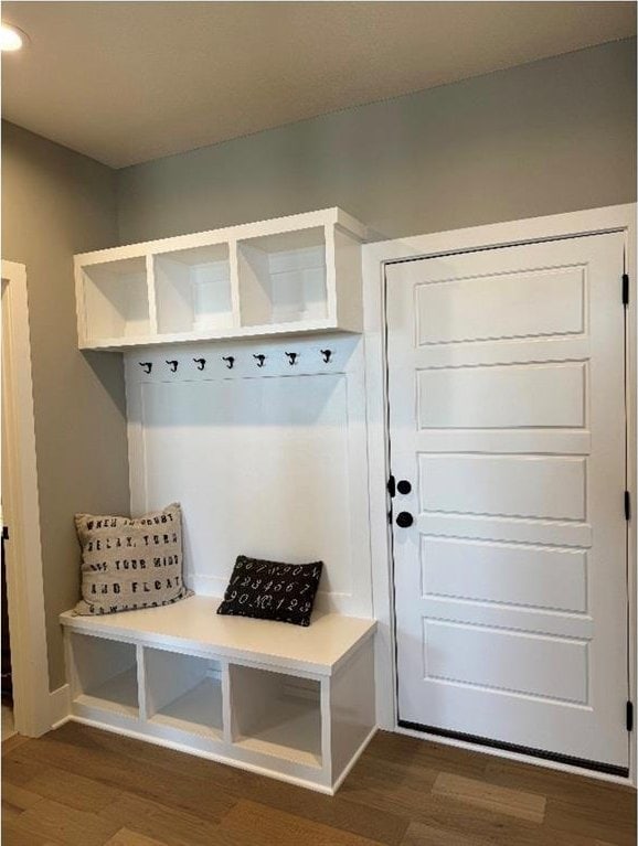 mudroom with dark wood-type flooring