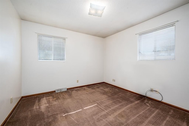 empty room featuring a wealth of natural light and carpet