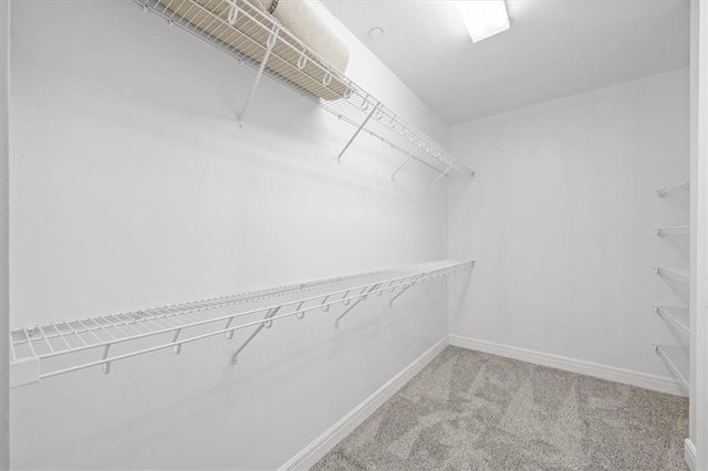 spacious closet featuring carpet