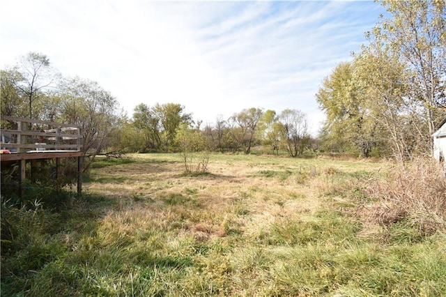 view of yard with a rural view