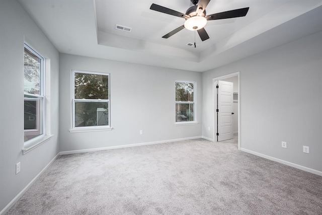 spare room with a raised ceiling, a wealth of natural light, and light carpet