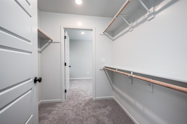 walk in closet featuring light carpet