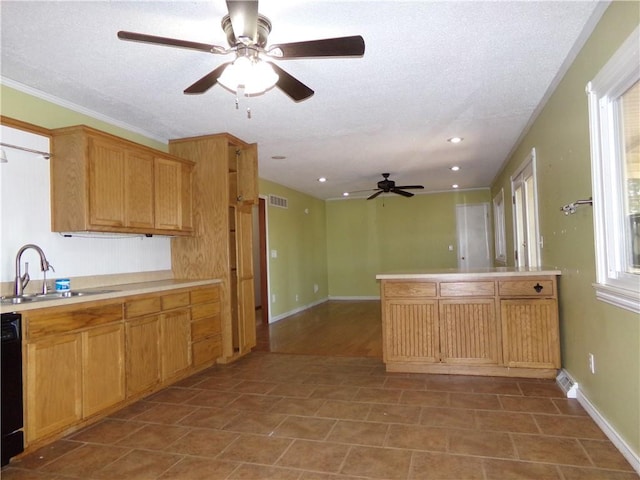 kitchen featuring ornamental molding, a textured ceiling, sink, and ceiling fan