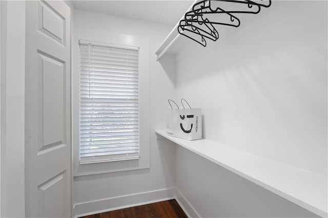 spacious closet featuring dark wood-type flooring