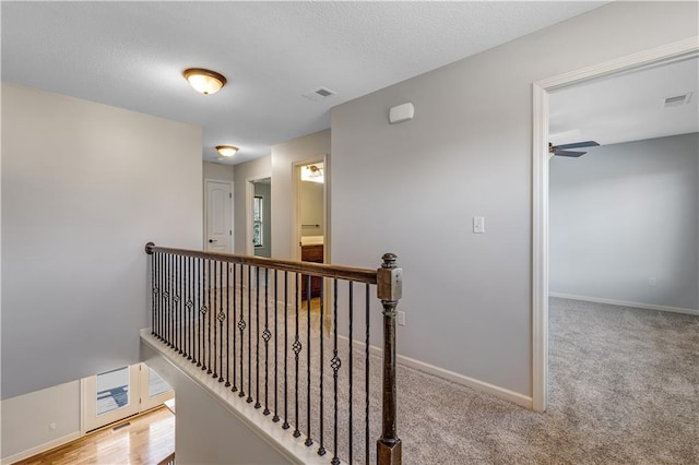 hallway featuring carpet flooring