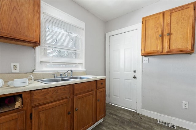 kitchen with sink and dark hardwood / wood-style floors