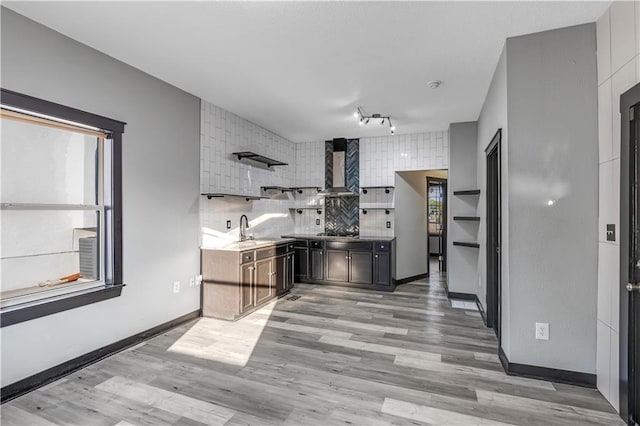 kitchen featuring light hardwood / wood-style floors, wall chimney exhaust hood, sink, and decorative backsplash