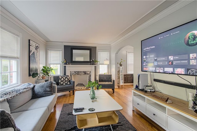 living room featuring hardwood / wood-style floors and a wealth of natural light