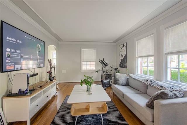 living room featuring crown molding and hardwood / wood-style floors