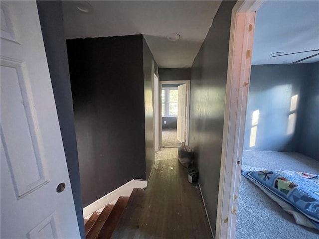 hallway featuring wood-type flooring