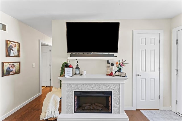 living room featuring a fireplace and wood-type flooring