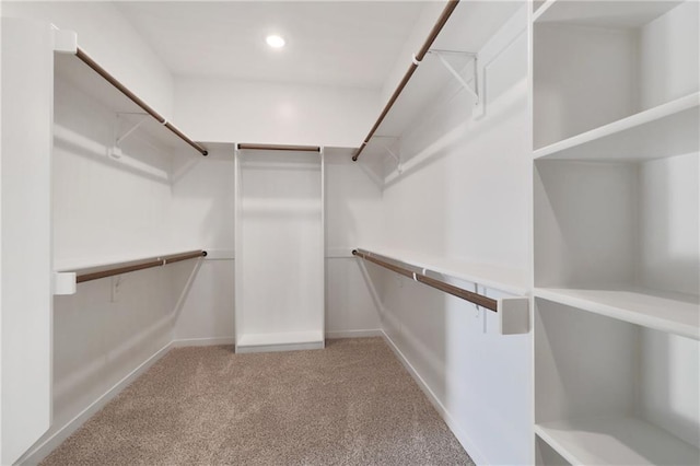 walk in closet with carpet floors