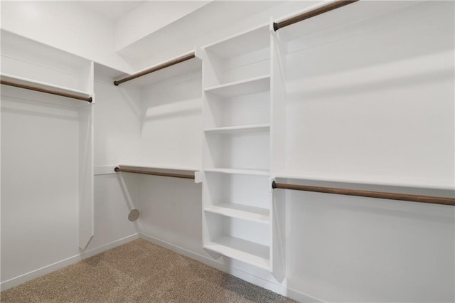 walk in closet featuring carpet floors