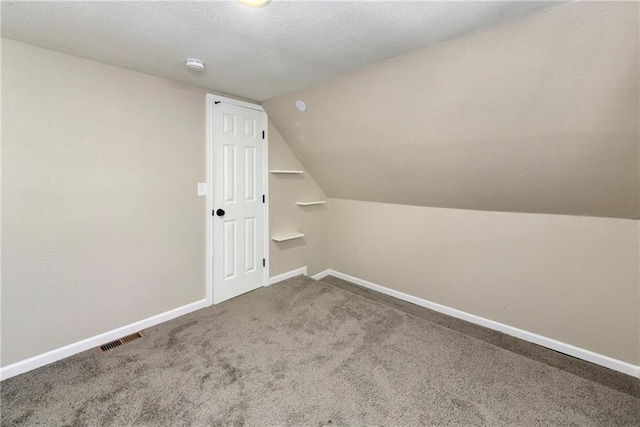 additional living space with a textured ceiling, carpet, and vaulted ceiling