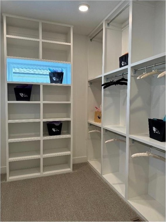 spacious closet with carpet