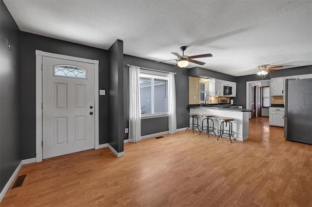 foyer with light hardwood / wood-style flooring, a textured ceiling, and a healthy amount of sunlight