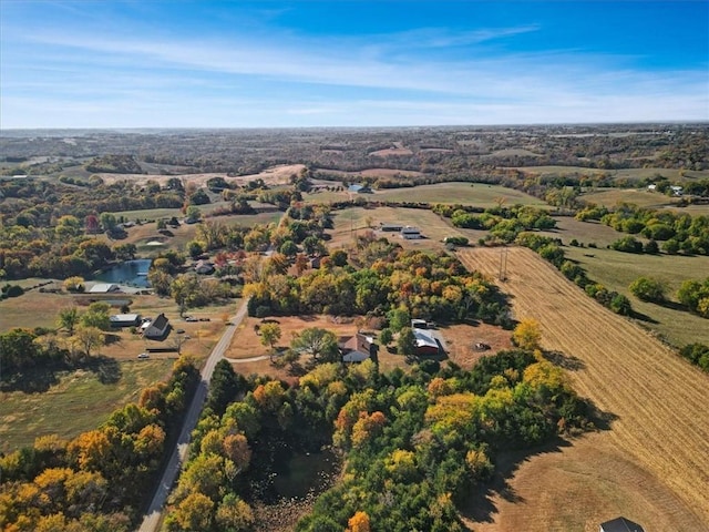 drone / aerial view featuring a rural view