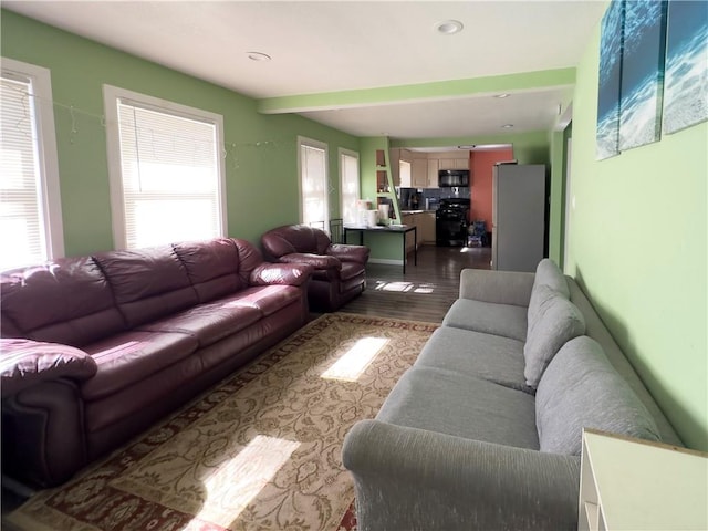 living room featuring light hardwood / wood-style floors