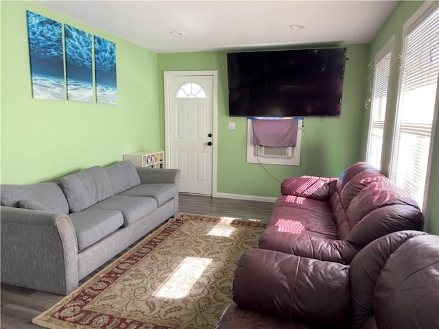 living room featuring wood-type flooring