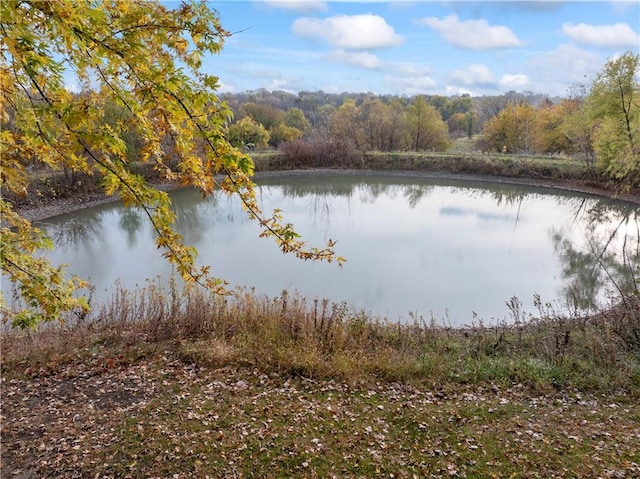 property view of water