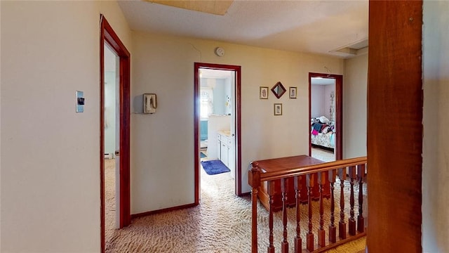 hallway featuring light carpet and a healthy amount of sunlight