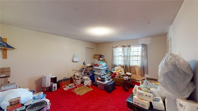 misc room featuring carpet floors and a textured ceiling