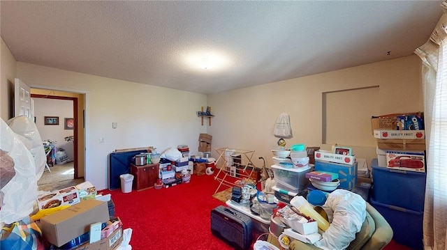 miscellaneous room featuring carpet and a textured ceiling